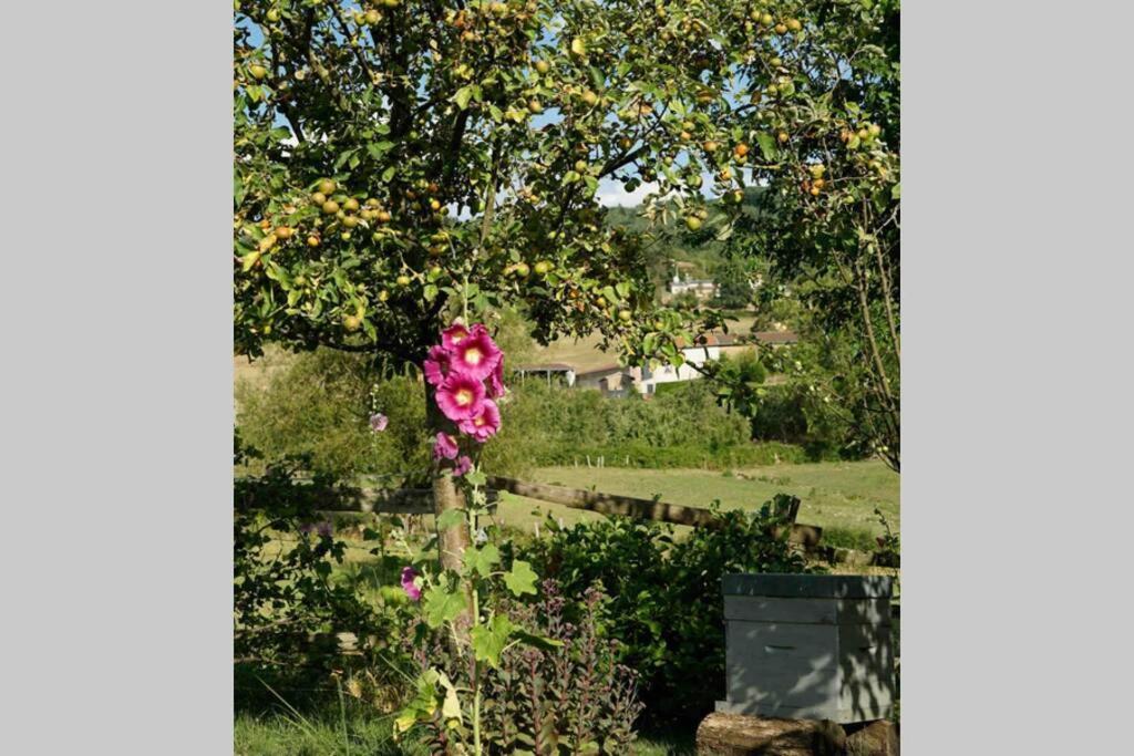 Villa Maison De Campagne A 15 Km De Cluny Tramayes Exterior foto